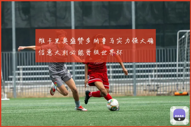 维卡里奥盛赞多纳鲁马实力强大确信意大利必能晋级世界杯